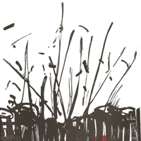 stampe-disegni